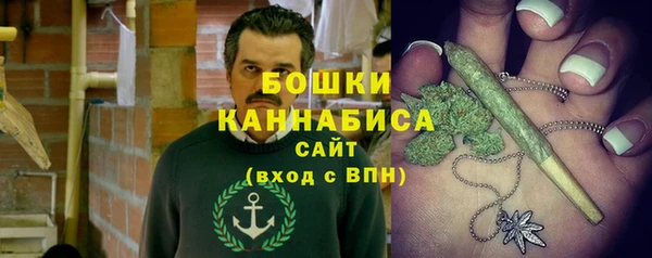 индика Верхний Тагил